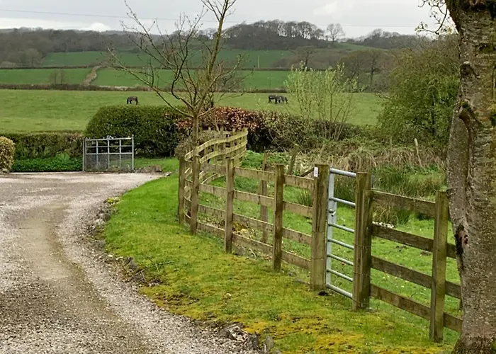 Willow View, Apartamento